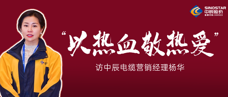 真正的酷爱，铸就销售女王——访XPJ官网电缆营销经理杨华